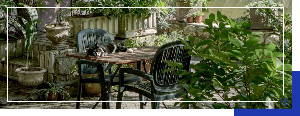 Le jardin et les espaces extérieurs comme vecteurs d'attraction